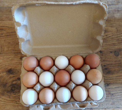 Cornish Eggs