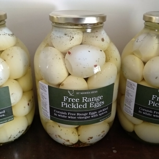 Large Pickled Eggs